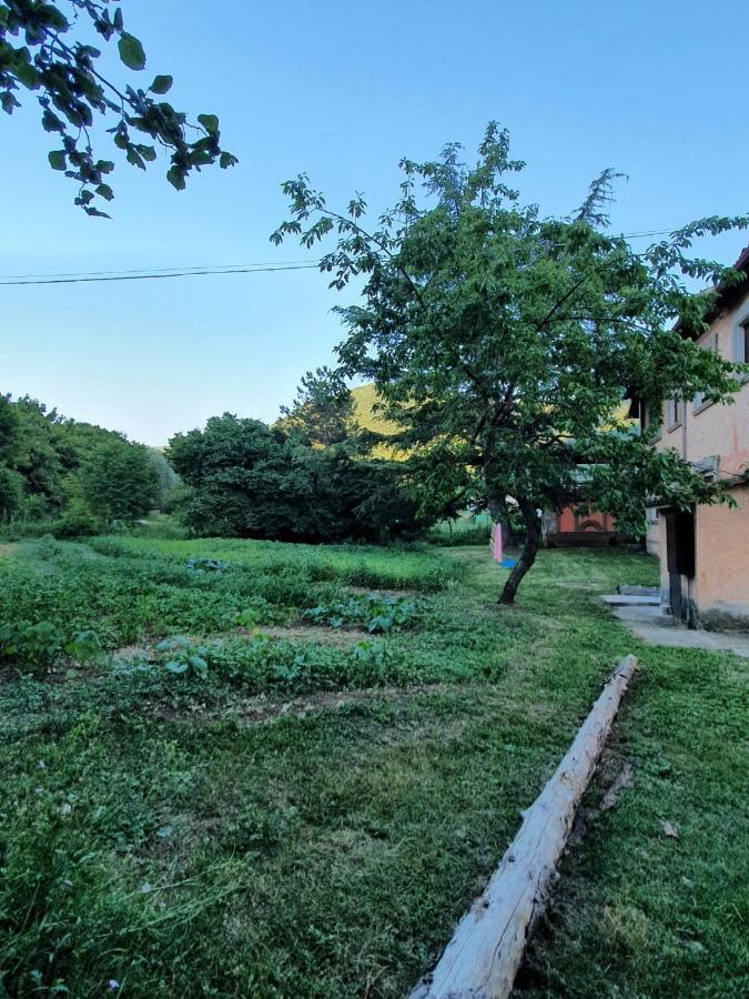B&B Calecatine Rocca di Botte Ngoại thất bức ảnh